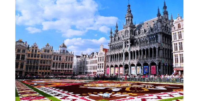 Чому Бельгію вважають батьківщиною високоякісного шоколаду?